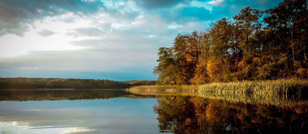 See in Łańsk im Herbst