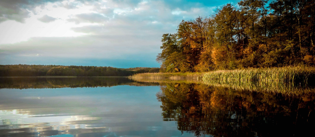 See in Łańsk im Herbst